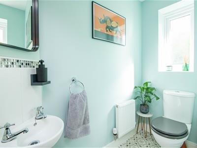 Picture 9
